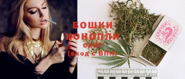 стафф Струнино