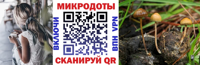 Галлюциногенные грибы Cubensis  купить   Кирово-Чепецк 